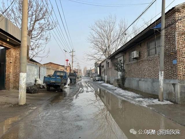 冠县乡韵·清水镇后井寨村