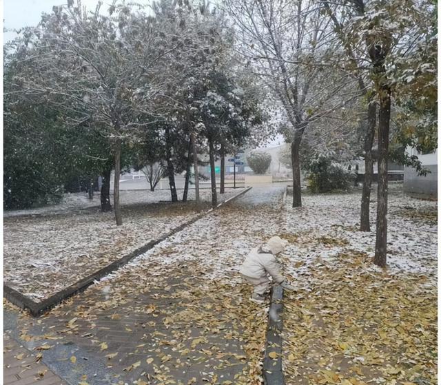 十月初雪至 左云入画来