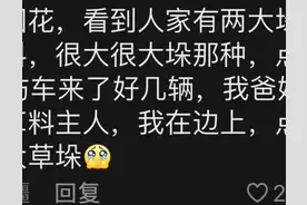 你被爸妈打的最惨的一次因为什么？网友:公鸡 泻药 澡堂 半年假图片