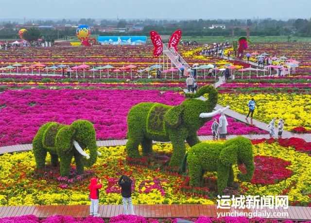 引人入胜！国庆假期第五日，运城各景区游趣盎然！