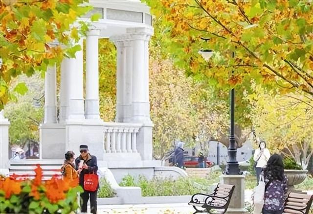 《今晚报》刊登：“叶”色正美 导航“津”秋