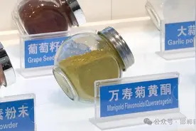 “曲周元素”的科技范儿图片