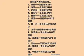 "央视最高官职公开！看看你喜爱的主持人排第几？"图片