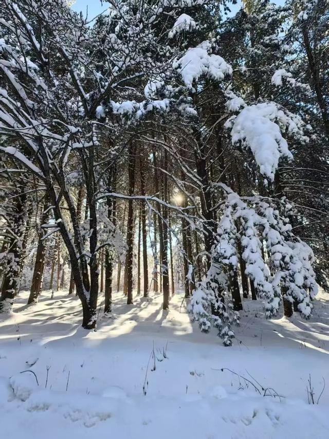 长白山冬日“天花板”！这3条宝藏路线，看到第一条就想出发