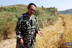 【摄影专题】“二哥”的家庭农场图片