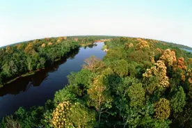 60岁老人倾诉：继母是破坏我原生家庭的人，如今我却对她恨不起来图片