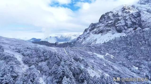 秋辞官鹅：一季斑斓入岁华