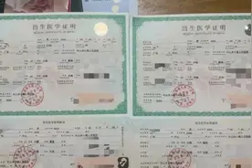 产子一事属实！17岁女孩为50岁男子代孕生下双胞胎！图片