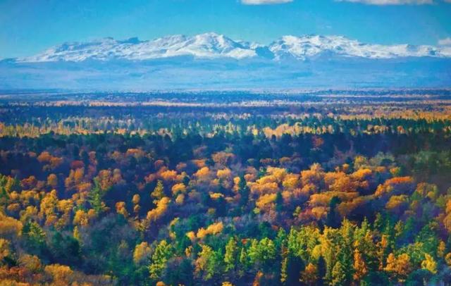 东北“杀疯了”！从新疆“平替”到一周吸金250亿，做对了什么？