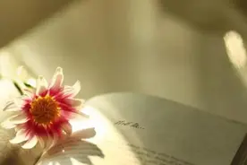 人老了，和晚辈之间关系再好，随礼时，也要守住这几条规矩图片