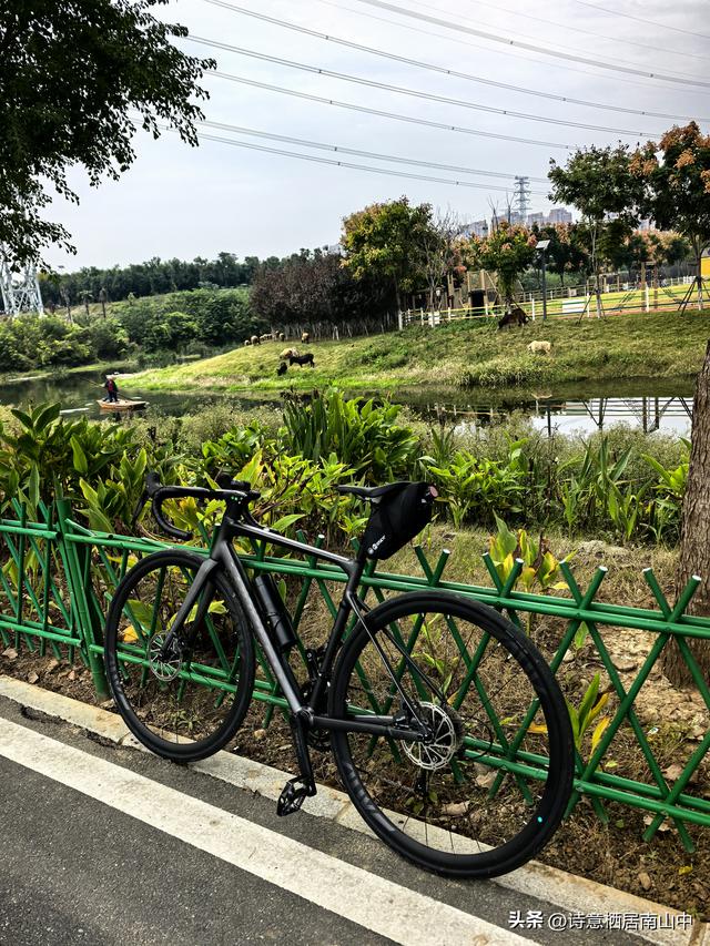 东西湖大堤绿道阻碍重重，现如何从江岸骑行到东西区大堤绿道？