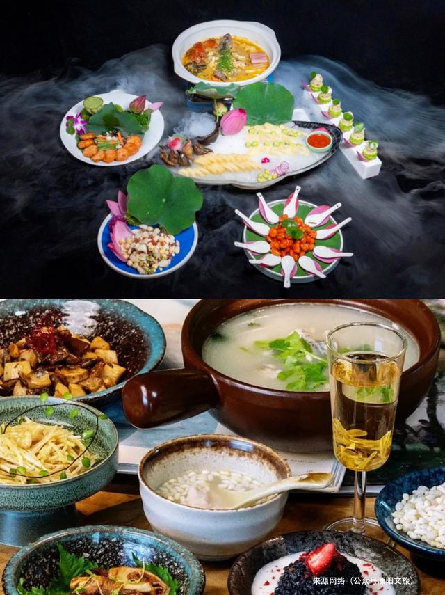 这个8月，拖猫带狗闯江南竹海~