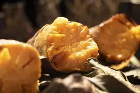 如何温暖过冬？郑州“怕冷星人”请收藏图片