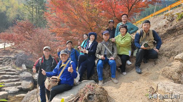蓝山谷记：与十万株红枫的相遇