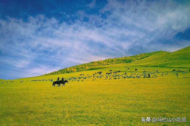 河北坝上秋景封神，赏秋全攻略｜每一帧都是油画！