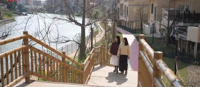 藏不住了！吴川这座桥繁“花”盛开