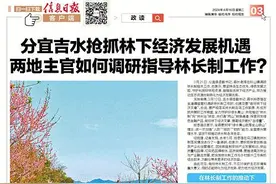 发展林下经济 分宜、吉水主官如何调研指导林长制工作？图片
