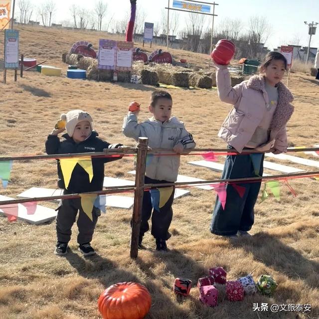 开年遛娃首选！东平湖流浪水世界暖冬亲子奇遇季，全家欢乐新去处！