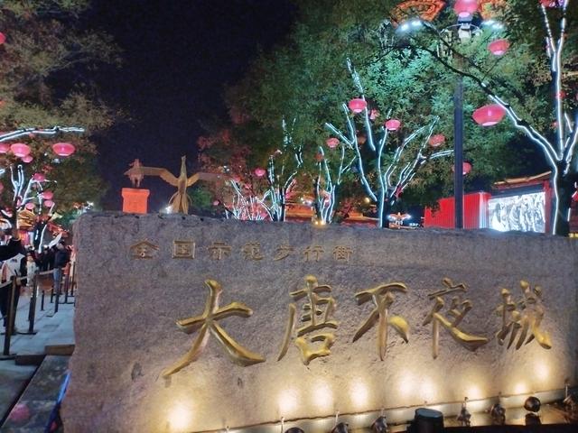 梦回大唐夜未央