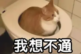 新买的电视想退，却被快递公司“花式”拒收，竟是收货地址惹的祸→图片