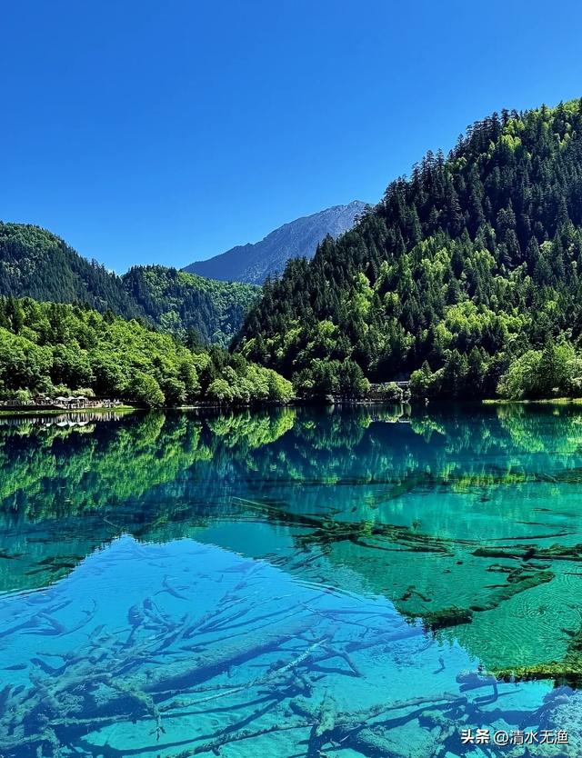 不黑不吹，九寨沟就是5A景区天花板，除了门票贵点，没啥缺点了！