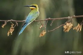 此处鸦雀无声图片