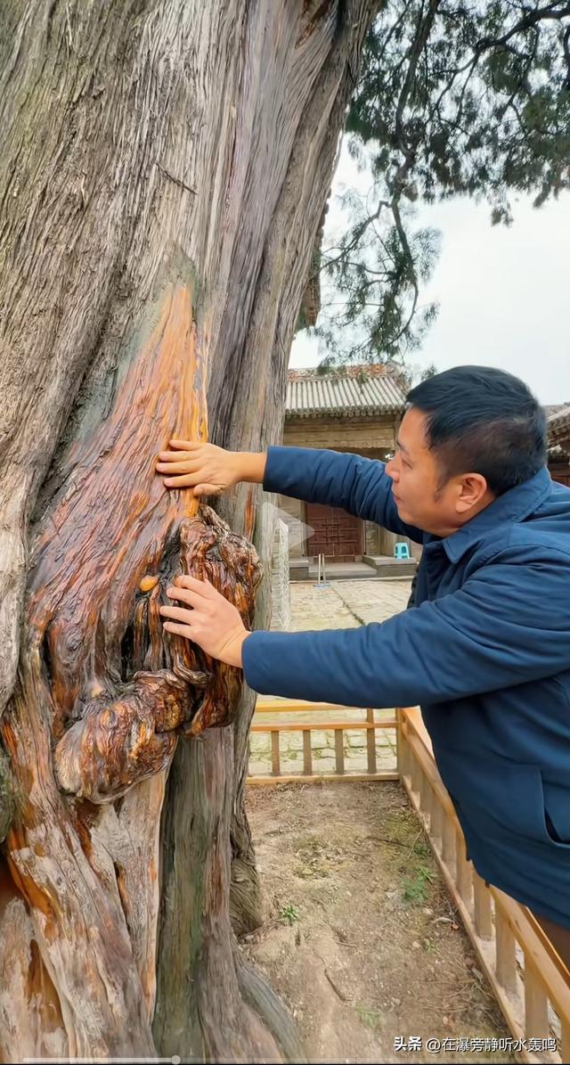 海哥量地球出发大西北(六)