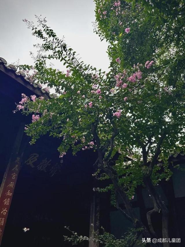 新都，被低估的好地方
