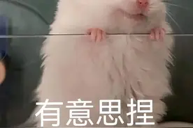 麻省理工开发一款AI「时光机器」，穿越未来和60岁自己对话图片