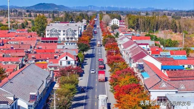 走不出这画了,我已被西海岸的秋景迷倒 🥹