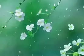 中年以后，养生为重。凡事尽力，顺其自然。平心静气，尽享怡然。图片