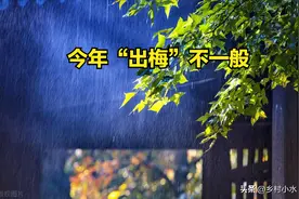 今年“出梅”不一般，出梅恰逢“小暑”，下雨有啥预兆？图片
