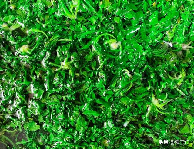 冬天，这菜使劲吃！一解毒，二对眼睛好，三护肝，冬天包饺子真香