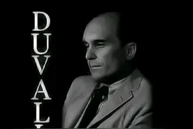 再谈《教父》之六：汤姆•黑根之死图片