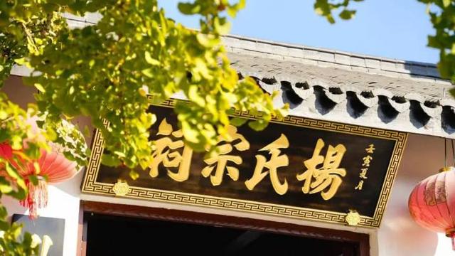 好期待！杭州西南这个银杏谷，进入变色倒计时~