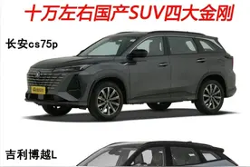 国产四大金刚SUV如何选择？！图片