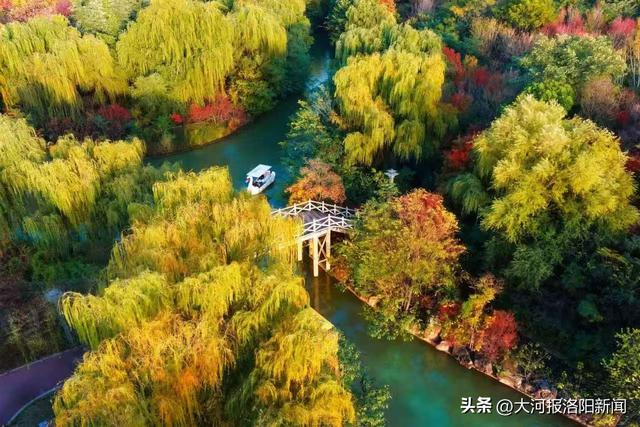 洛阳从政坊游园“杉水画坊”摄影展征稿启动，邀您定格秋冬诗意美景