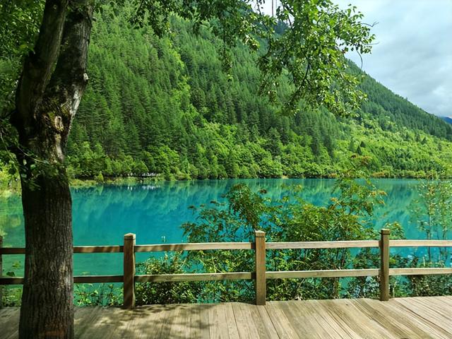 四川旅游：三游人间仙境九寨沟（图）