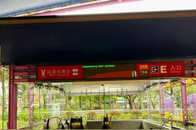 精致少女的走走停停：一个人长隆野生动物园快乐一日游攻略图片