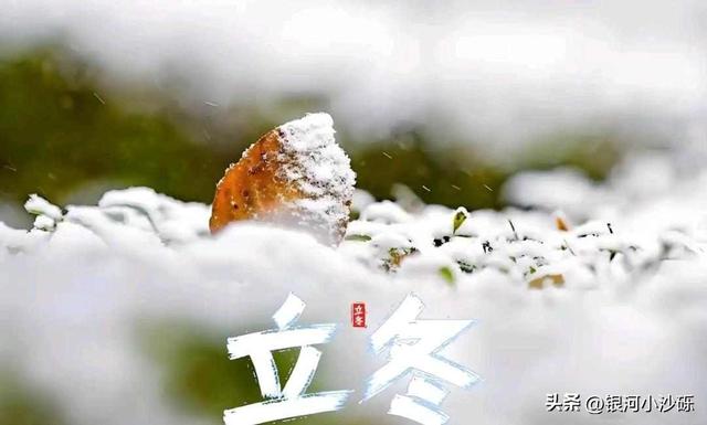 “上午立冬，冻死牛；下午立冬，暖烘烘”，2025年立冬是几点？