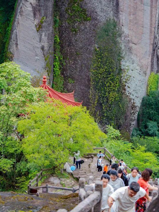 全域好水 亲水纳凉 | 在武夷山，与所有疲惫温柔和解