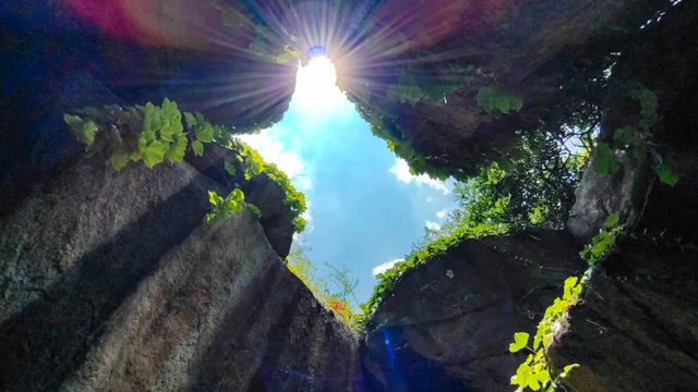 临沂花式闹元宵全攻略：灯会、赏花、优惠、演艺一键收藏！