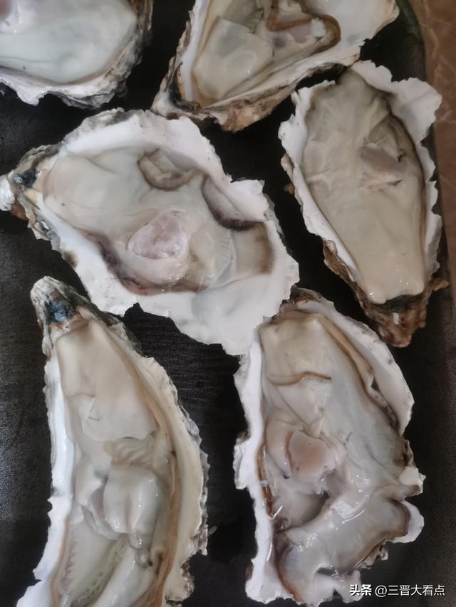 东山一号｜觅境山水间，归心自然里