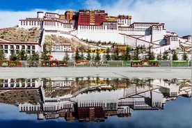 西藏旅行必试红景天？当心高原感冒风险！图片