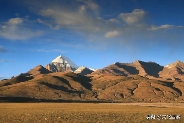 极致风光，唯有西藏阿里！初冬的金色童话一眼沦陷！