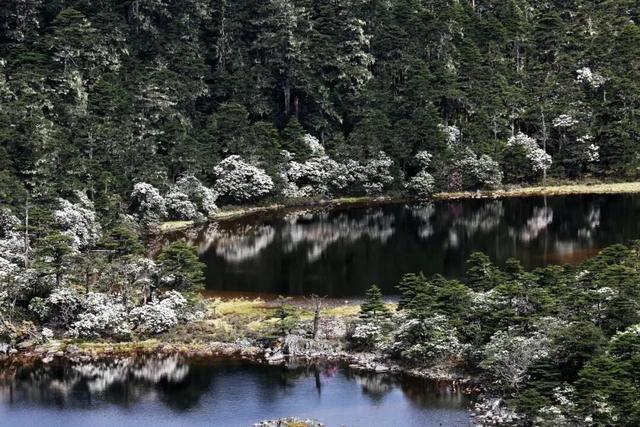 还没结束的花事，槽点太多了！