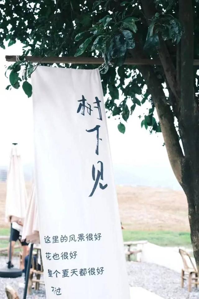周末出发，拍出朋友圈最高赞秋天！在杭州北翼，寻获5片新潮稻田秘境
