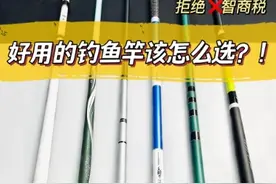2025上半年鱼竿红黑榜！这8款闭眼入不踩雷，钓友：第5款太香了！图片