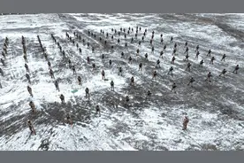 武警官兵刺杀训练，酷！图片