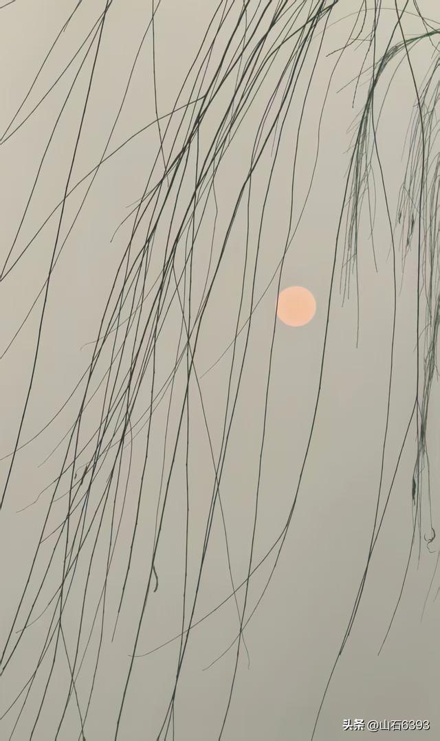 新华社原军事记者陶俊峰泉城美拍：《冬雾中的大明湖》